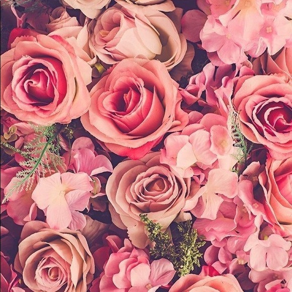 Meet your Posher, Marlene - Picture 4 of 5